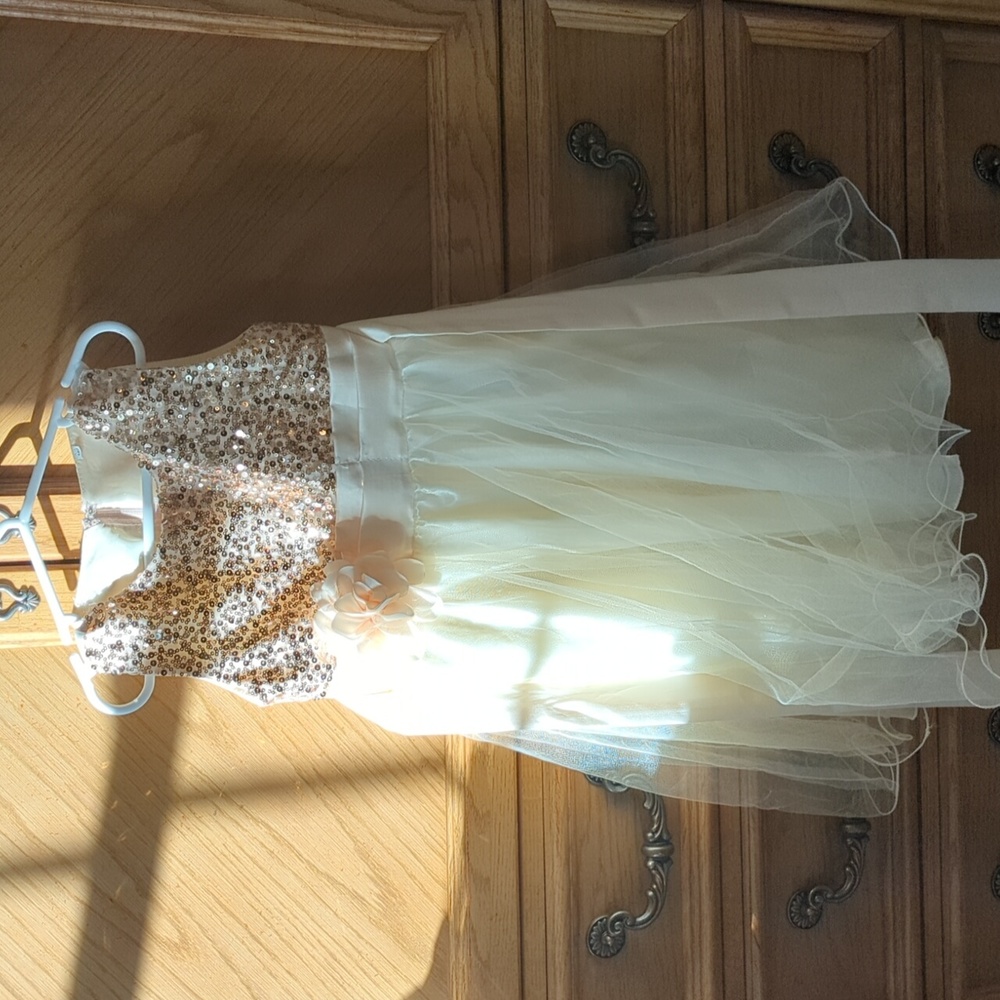 Wocau Little Girls' Sequin Mesh Tull Dress Sleeveless Flower Party Ball Gown